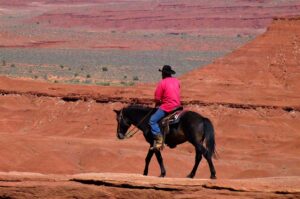 horseback rider nature-3233221_640 courtesy of pixabay.com