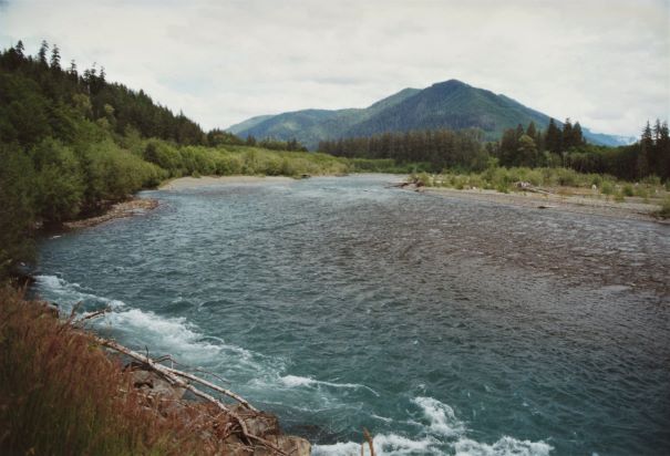 HOH river Olympic Natl Park WA june 2001 writing prompt copyright KS Brooks