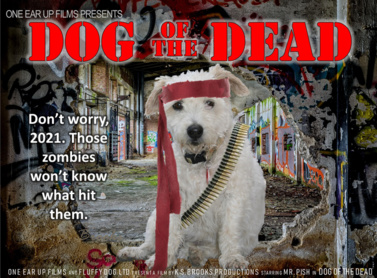 dog of the dead october ksbrooks1