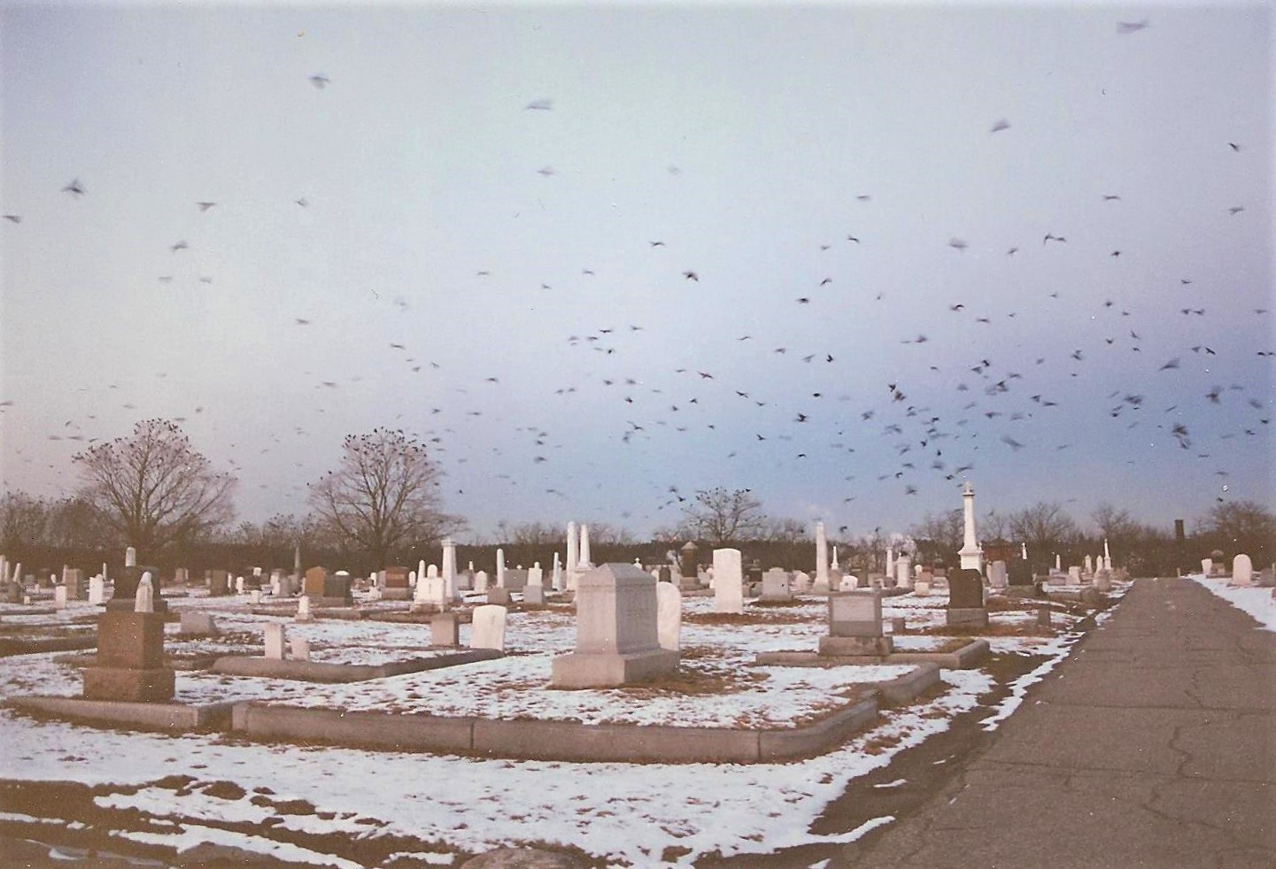 lawrence cemetery crows1997 flash fiction