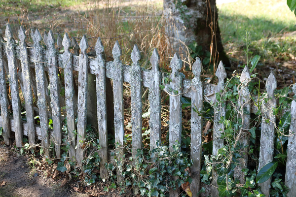 IMG_1156p fence oysterville writing prompt