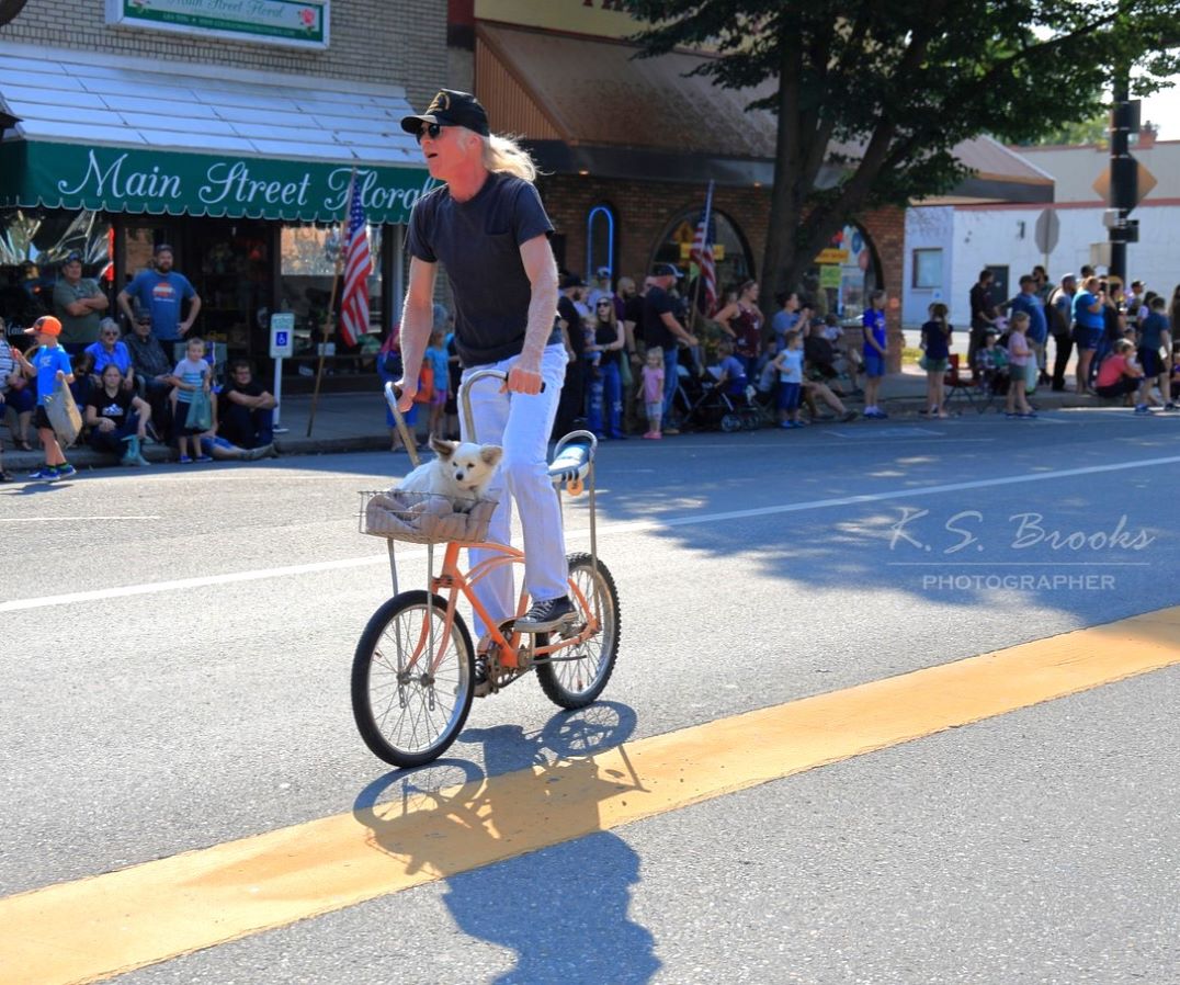 man riding bicycle in parade with small dog in front basket photo by KS Brooks
